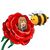 Mona Smiley's profile image