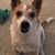 Paula Johnson's profile image