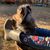 Robyn Firth's profile image