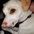 Aaron Lietz's profile image