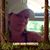 Stacy Rosa's profile image