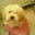 Maria Corea-Gray's profile image