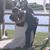 Shannon Micheletto's profile image