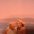 Debi Henderson's profile image
