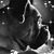 Jennifer Fallon's profile image