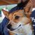 John Fitzgerald III's profile image