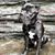 Julie Keller's profile image