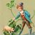 Lynda Marie Pigmama's profile image