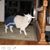 Casimiro Enid's profile image