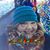Lindsey Watson's profile image