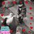 Emilie Muise's profile image