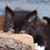 Dennis Hatcher's profile image