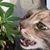 Chuck Lotta's profile image