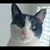 Esther Kafka's profile image