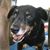 Bobbi Reiter's profile image