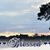 Roxann Bailey Fowler's profile image