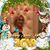 Dorothy Vallario's profile image