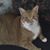 Pam Packard's profile image