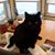 Tricia Miller's profile image