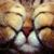 Laura Ashley Emmerson-Espinosa's profile image