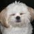 Tina Sohigian's profile image