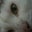 Bob Scheld's profile image