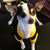 Brian Dugan's profile image