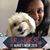 Ravina Mehta's profile image