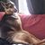 Karen Childress's profile image