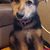 Kay Rutland Beauvois's profile image