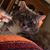 Melissa Ford Bierwirth's profile image