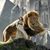David An Marlyn Johnson's profile image