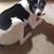 Sherry Pinnegar Ward's profile image