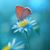 Margo Dew's profile image