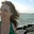shawnelise t's profile image