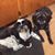 Dirck Jerri Felder's profile image