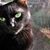 Heather Joie's profile image