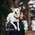 Kiem Sie's profile image