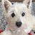 Linda Kuester's profile image