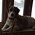 Donna Fortuna's profile image