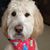 Eleanor Ingerson's profile image