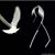 Noe Cortes's profile image