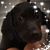Paula Danner Geier's profile image