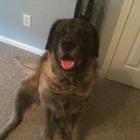 Duane Bigdog Murray's profile image