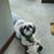 KenBonnie Alexander Stice's profile image