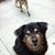Soraya Vasquez's profile image
