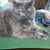 Sheri Culver Robinson's profile image