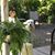 Debbie Hardman's profile image