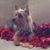 Earlene Barnes's profile image