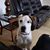 Joanne Smith's profile image